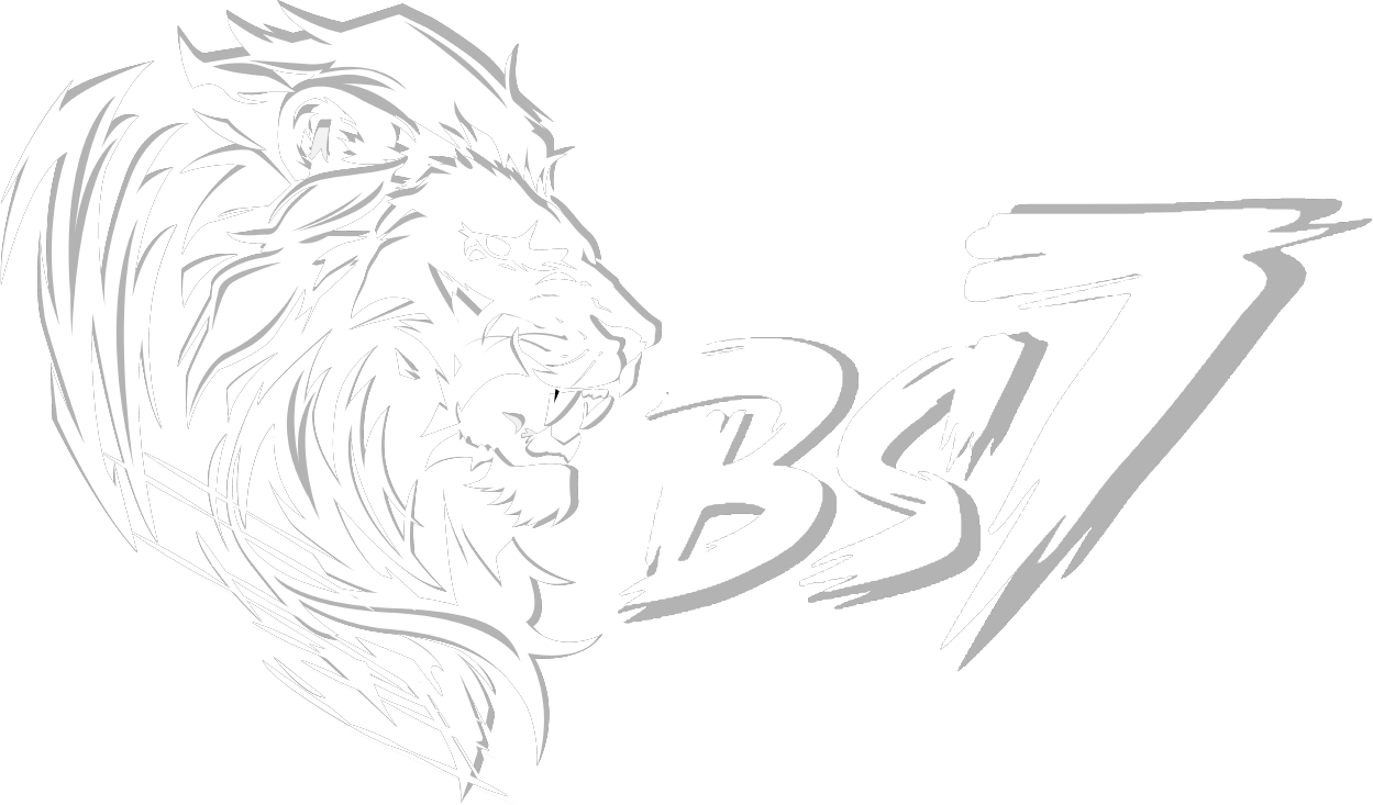 Logo bs7